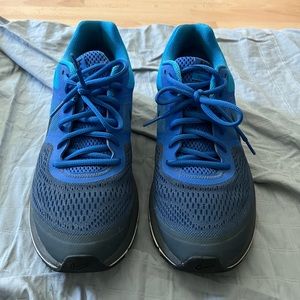 Blue Nike Pegasus, size 10.5